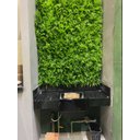 Ver imagem 6 de Placa Planta Jardim Vertical Decorativo Textura Realista 25cmx25cm Parede Paisagismo Moldura Verde