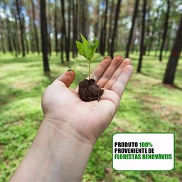 Armário de Cozinha Modulada 4 Peças CP12 com Pia Inox Branco - Lumil Lumil Móveis - 8