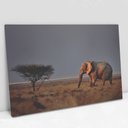 Ver imagem 1 de Quadro Decorativo em Canvas Elefante na Savana - Moldura Madeira - 60 x 40cm