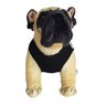 Roupinha Pet Katlen Tricot com Tecido:preto/m - 2