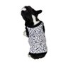 Roupinha Pet Katlen Tricot com Tecido:preto/m - 4
