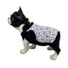 Roupinha Pet Katlen Tricot com Tecido:preto/m - 3