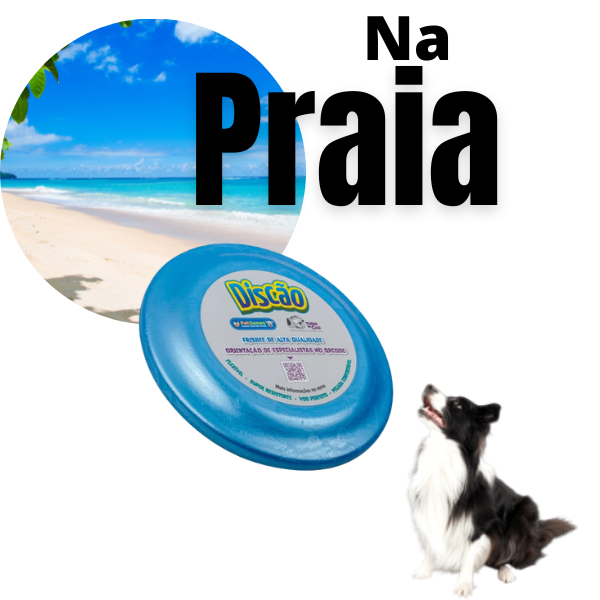 Brinquedo Pet Games Discão para Cães - 5