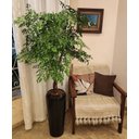 Ver imagem 2 de Vaso Decorativo Fibra de Vidro Florida P 65cm Preto Brilho Lindo Vaso