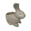 Ver imagem 3 de Coelho Floreira Madagascar em Cerâmica - Um Toque de Charme e Vida para Sua Casa!:rosa