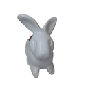 Ver imagem 4 de Coelho Floreira Madagascar em Cerâmica - Um Toque de Charme e Vida para Sua Casa!:rosa