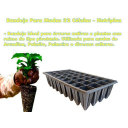 BANDEJA PLANTIO MUDAS HORTALIÇAS 32 TUBETES PLÁSTICO 15 UND - 3