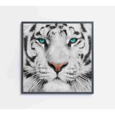 Quadro Decorativo Tigre Branco - 40x40 Cm - Vidro Impresso