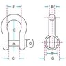 Manilha 3/4" Curva com Pino Roscado Alloy Pesada - Laranja - 2