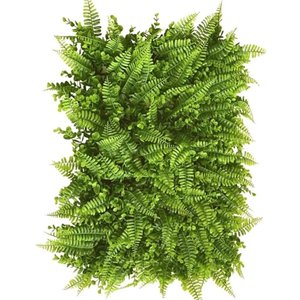 Kit 10 Placas de Samambaia Eucalipto 40 X 60cm Muro Inglês Jardim Vertical