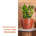 Ver imagem 5 de Kit 3 Vasos Redondo Elba Café 27 Terrano