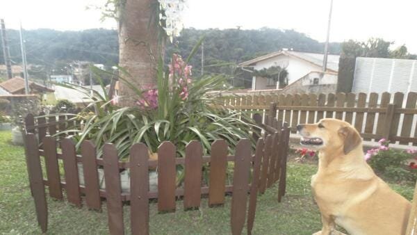 Cercas Decorativa Para Jardim 50X50Cm Colonial P 2 Metros - 2