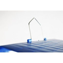 Tratador Silvestre Azul com Suporte Contrera Pet - 3