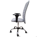 Ver imagem 3 de Cadeira Presidente Ergonômica Executiva Escritório Apoio Lombar Nr17 Giratória Rodízio Esteirinha
