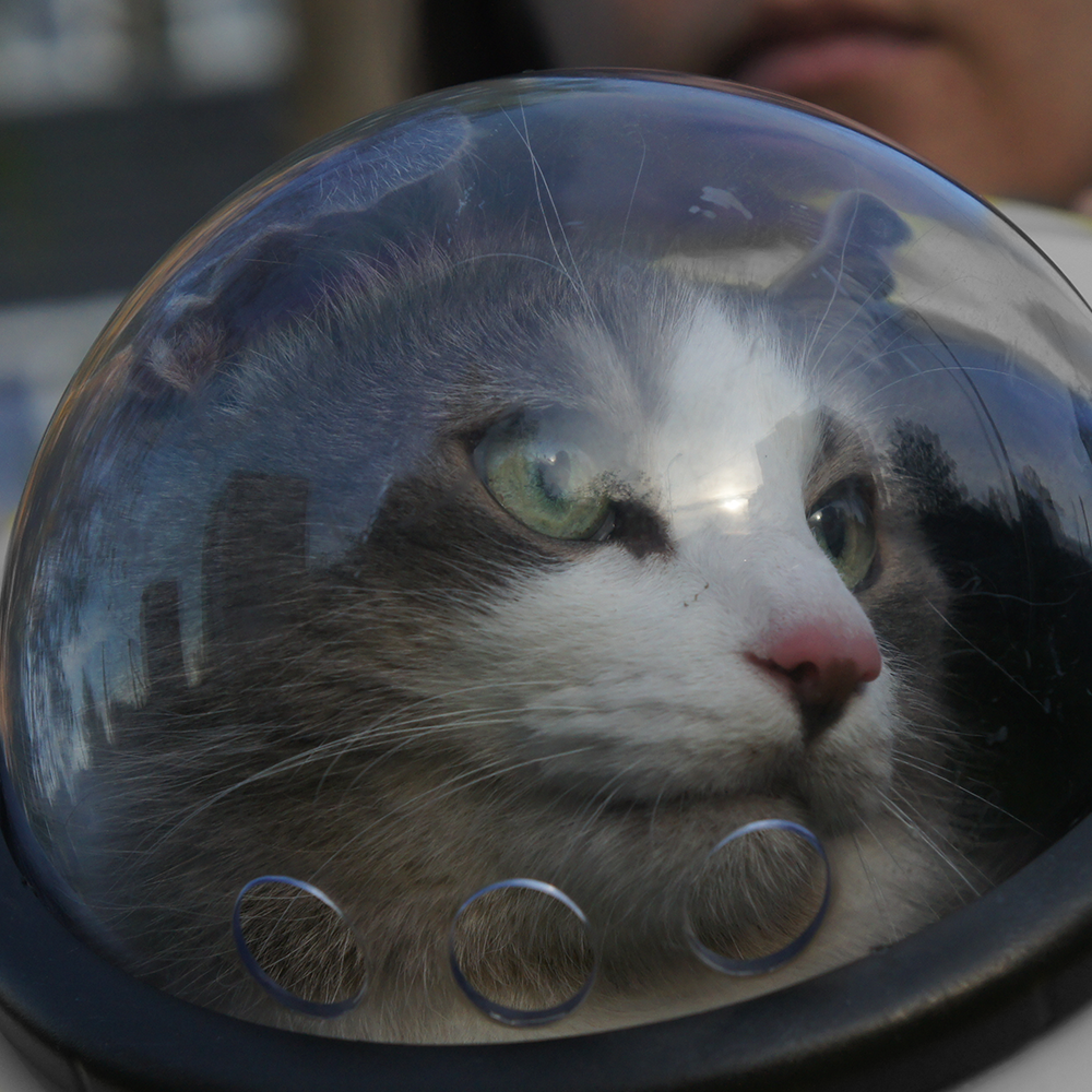 Mochila Pet Astronauta Transparente para Passeio de Animais - 3