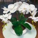 Ver imagem 3 de Vaso Ikebana Baixo Redondo Cerâmica Decor de Plantas Garden - Golden