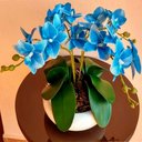 Ver imagem 4 de Vaso Ikebana Baixo Redondo Cerâmica Decor de Plantas Garden - Golden