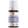 Oleo Essencial de Lavanda ( Lavandula Officinalis) 10ml - 2