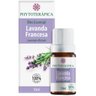 Oleo Essencial de Lavanda ( Lavandula Officinalis) 10ml - 1