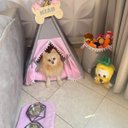 Ver imagem 6 de Cabana Baby Grey G