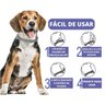 Coleira Anti Pulga Cachorro Gato Cao Pet Carrapato Felino Kit 4 Unid Leishmaniose Canino Ajustavel R - 10