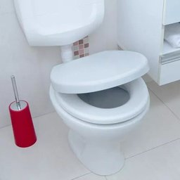 Assento Sanitário Astra Tov/sc Branco - 2
