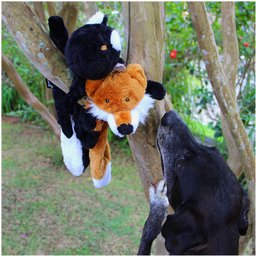 Brinquedo Pelúcia Raposa Foxy para Cães - Mimo - 2