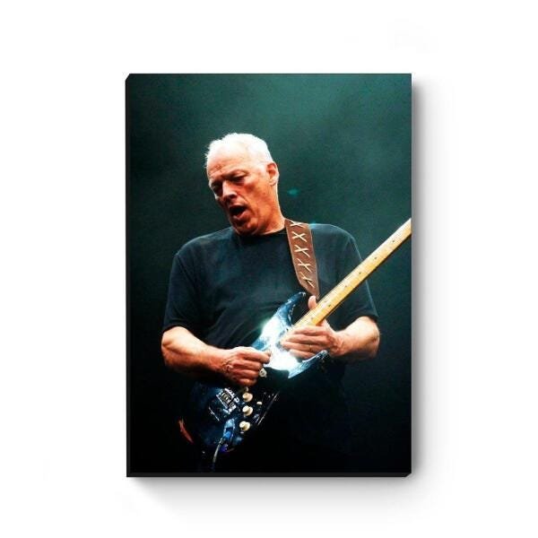 Quadro decorativo MDF David Gilmour MOD2 - 3