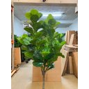 Ver imagem 7 de Planta Artificial Ficus Lyrata Planta Real Toque 1.80m, Planta Decorativa para Casa e Eventos.
