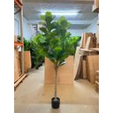 Ver imagem 6 de Planta Artificial Ficus Lyrata Planta Real Toque 1.80m, Planta Decorativa para Casa e Eventos.