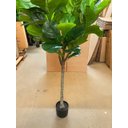 Ver mais imagens de Planta Artificial Ficus Lyrata Planta Real Toque 1.80m, Planta Decorativa para Casa e Eventos.