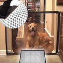 Ver mais imagens de Tela Grade de Porta Cachorro Rede Pet Cães cão Crianças Parede Bebe Gato