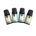 Ver imagem 1 de Kit 4 Essências de Aromatizador Via Aroma Aromaterapia 10ml