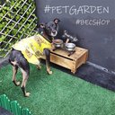 Ver imagem 2 de Grama Sintética 12mm (1m²) Petgarden® 2,00m X 0,50cm