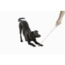Bastão Target Stick para Treinamento e Adestramento de Cães - 2