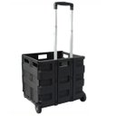 Ver imagem 4 de Carrinho Cesto de Transporte Dobrável Multifuncional e Multiuso