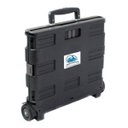 Ver mais imagens de Carrinho Cesto de Transporte Dobrável Multifuncional e Multiuso