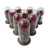 180 Mini Cúpulas - A Bela e A Fera - 11 Cm Rosa Vermelha - 1