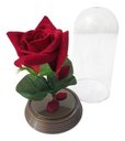 Ver imagem 3 de 180 Mini Cúpulas - a Bela e a Fera - 11 Cm Rosa Vermelha