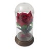 180 Mini Cúpulas - A Bela e A Fera - 11 Cm Rosa Vermelha - 2