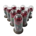 Ver imagem 1 de 180 Mini Cúpulas - a Bela e a Fera - 11 Cm Rosa Vermelha