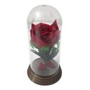 Ver imagem 2 de 180 Mini Cúpulas - a Bela e a Fera - 11 Cm Rosa Vermelha