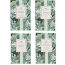 Ver imagem 1 de Kit C/ 4 Sachês Greenleaf Shimmering Snowberry Large