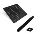 Ver imagem 2 de Ducha Chuveiro Teto Inox 20x20 Preto Fosco Suporte Quadrado Luxo Piscina Banheiro Area Externa