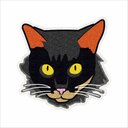 Ver imagem 2 de Tapete Capacho Diferenciado Gato Preto, Tapetes de Pets e Outros Animais Diferenciados.