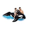 Boia Baleia 1.93 M Gigante Piscina Praia Flutuante - 3