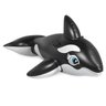 Boia Baleia 1.93 M Gigante Piscina Praia Flutuante - 1