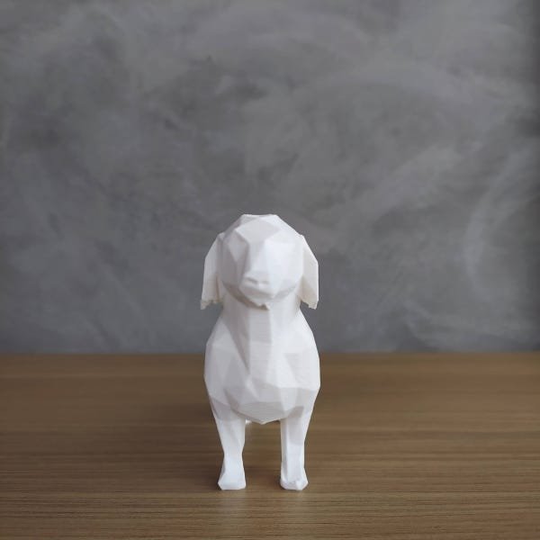 Dachshund Salsicha Geométrico Decorativo - Branco - 4