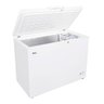 Freezer e Conservador Horizontal Eos 309 Litros Ecogelo Efh355x 110v - 6