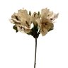 BUQUE ASTROMELIA CREME FLORES 38 cm X6 - 1